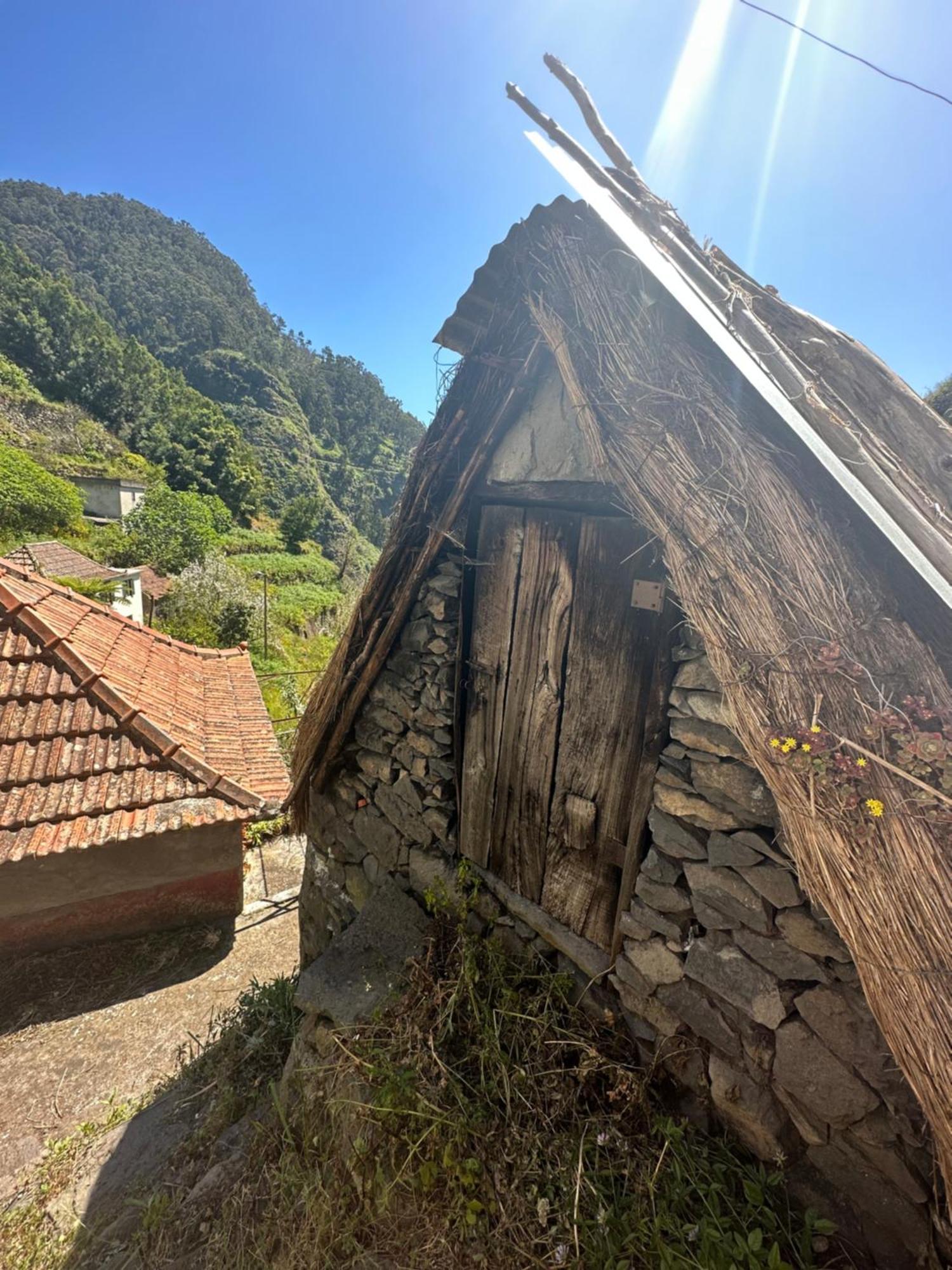 The Green Valley House São Vicente 外观 照片