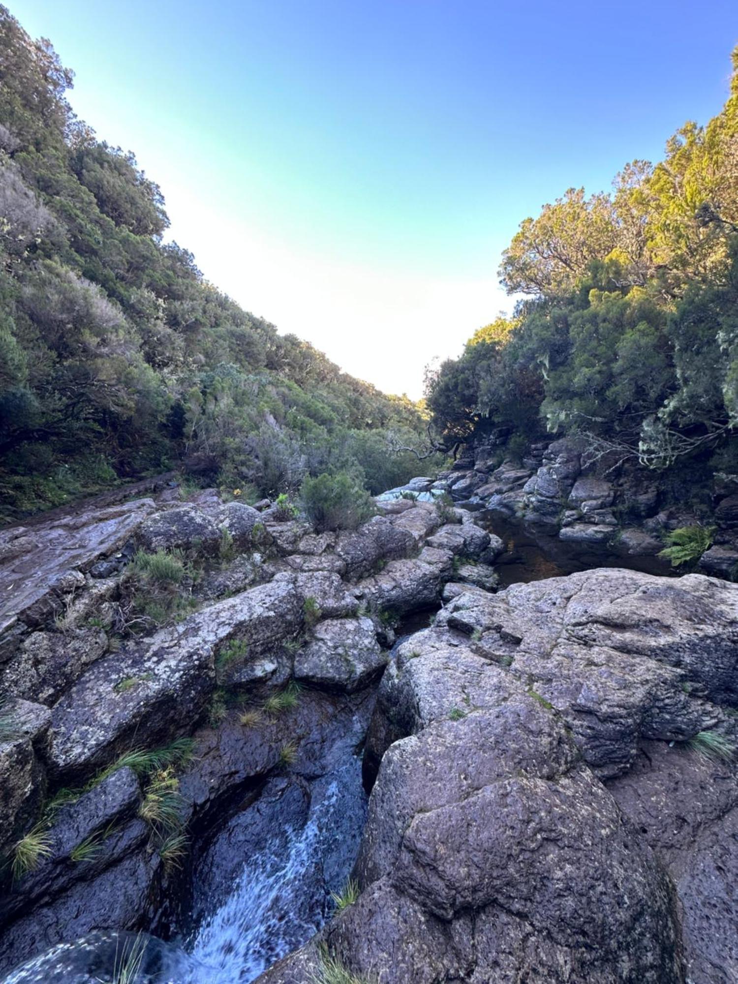 The Green Valley House São Vicente 外观 照片