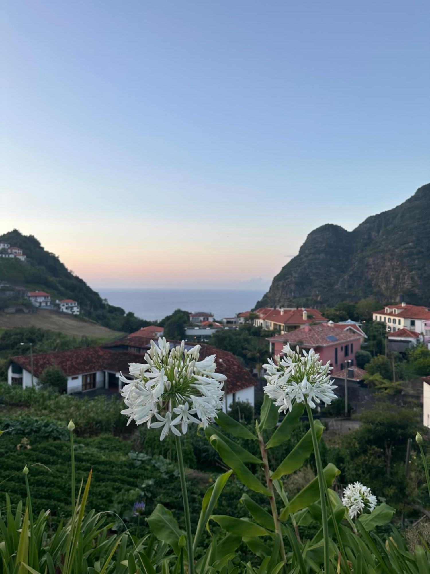 The Green Valley House São Vicente 外观 照片