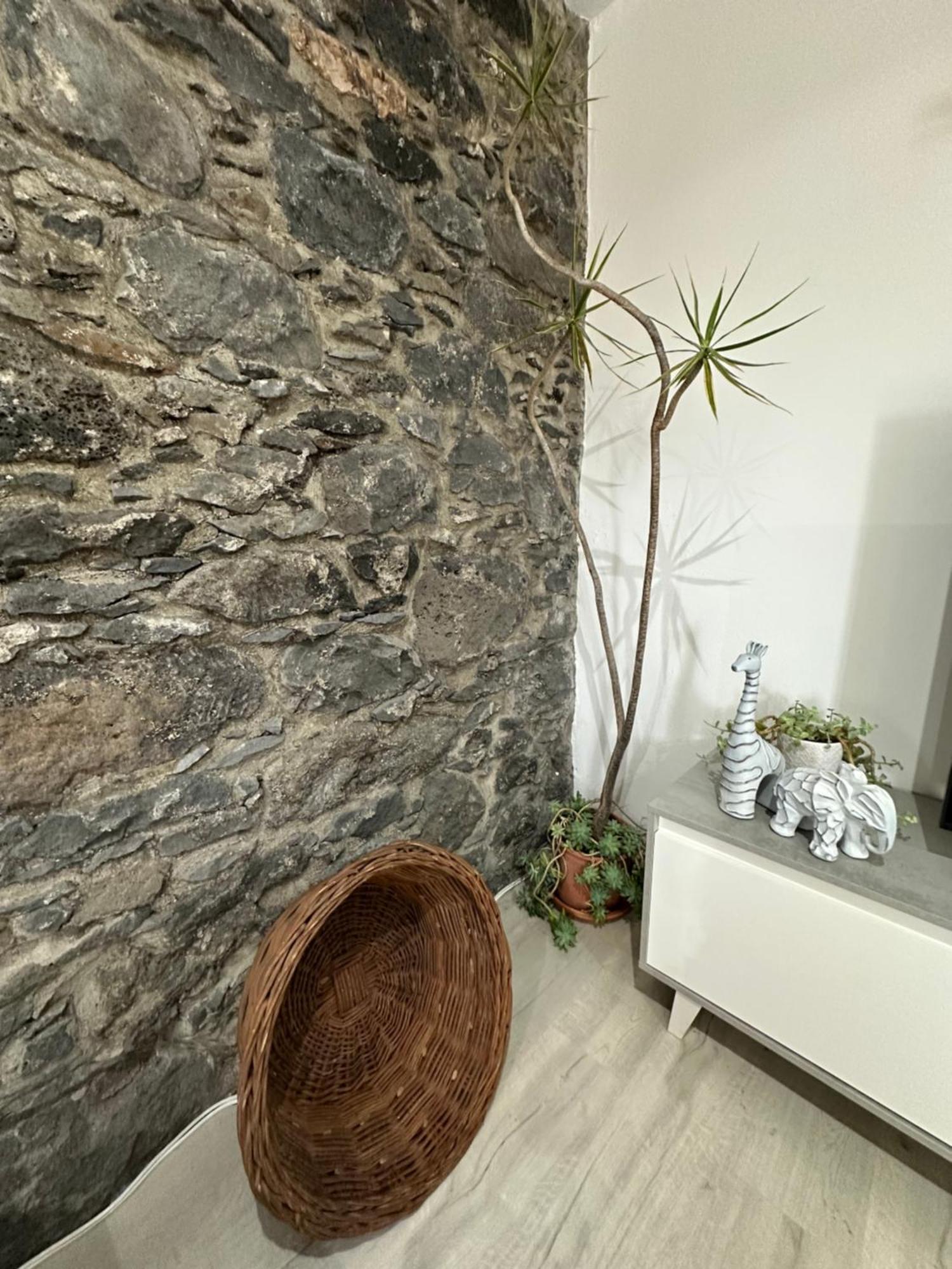 The Green Valley House São Vicente 外观 照片