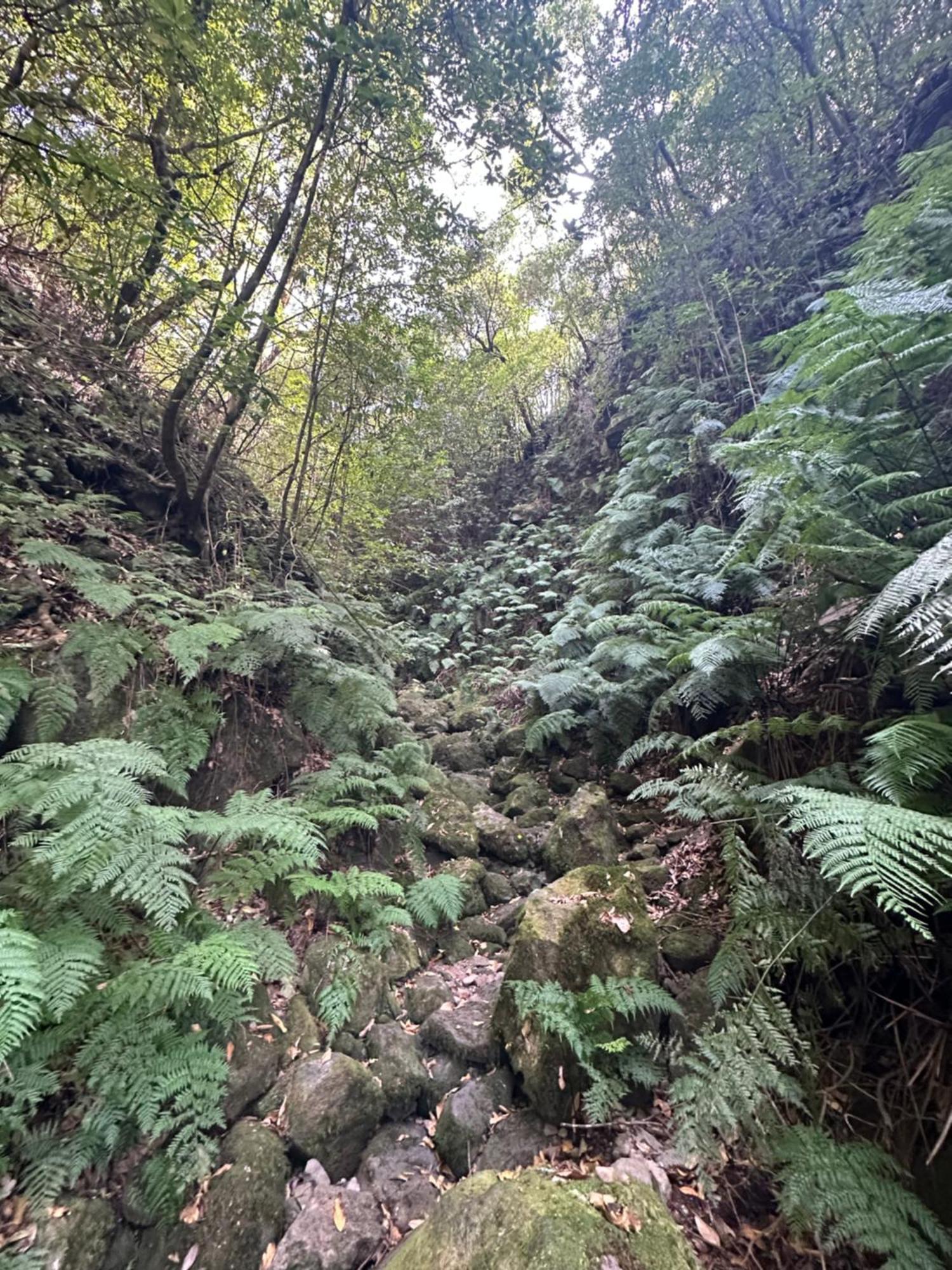 The Green Valley House São Vicente 外观 照片
