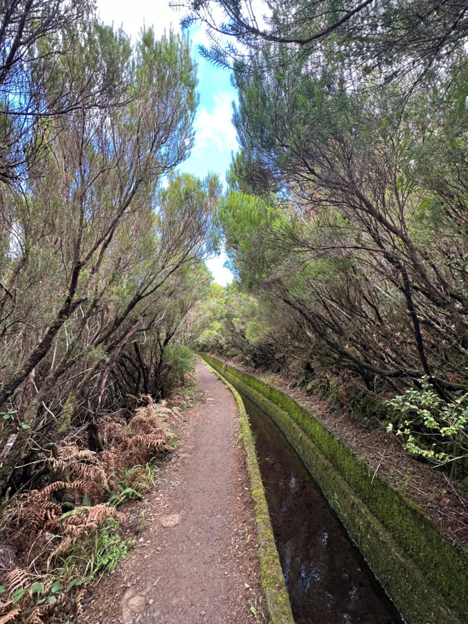 The Green Valley House São Vicente 外观 照片
